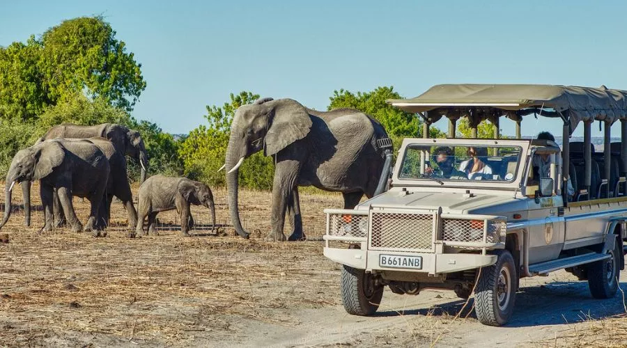 Ethical Wildlife and Nature Travel: Exploring the Wild Responsibly Ethical wildlife and nature travel | Hotel-gurus.com