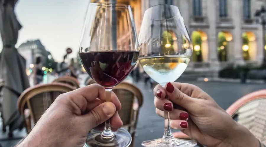 Wine Tasting Tour Experiences: Savoring the Art of Fine Wines Wine tasting tour experiences | Hotel-gurus.com