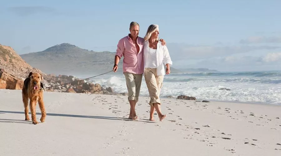 Coastal Pet-Friendly Accommodations: Seaside Escapes to Share With Every Family Member Coastal pet-friendly accommodations | Hotel-gurus.com