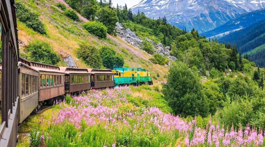 Iconic Train Routes to Explore: Legendary Rail Journeys That Redefine Travel Iconic train routes to explore | Hotel-gurus.com